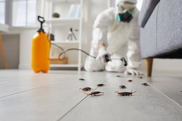 Commercial Kitchen Cockroach Control in Concord